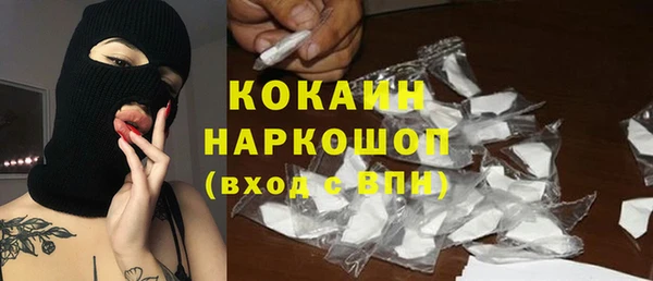 мдпв Богородск