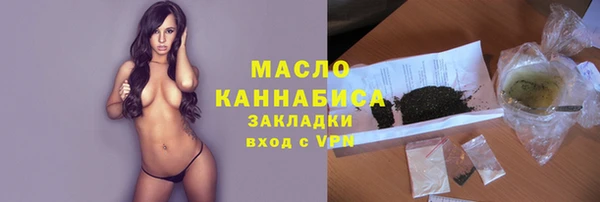мдпв Богородск