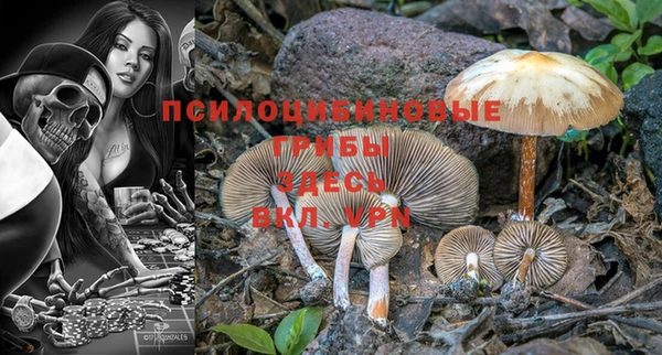 гидропоника Богданович