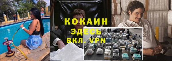 мдпв Богородск
