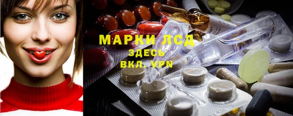 мдпв Богородск