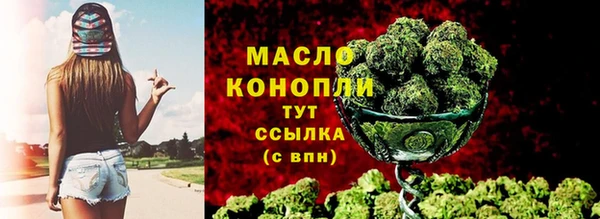 мдпв Богородск