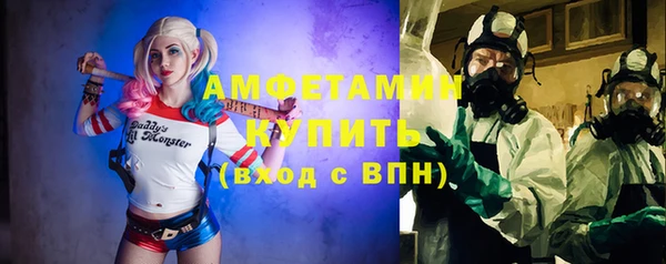 мдпв Богородск