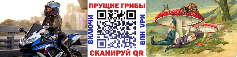 Купить закладки Ворсма Галлюциногенные грибы Cubensis